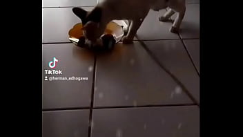 Malam Penuh Nafsu Bersama Anita