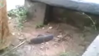 Video Mesum Desi Di Luar Rumah, Istri Selingkuh Sama Kekasih Gelapnya