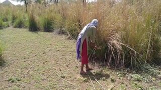 Video Mesum Desi Di Sawah, Si Bejat Sama Kuli Kebun, Ngewe Liar.
